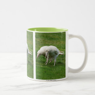 Tasse 2 Couleurs Rare White Raven Photo Faune