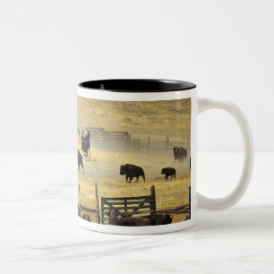 Tasse 2 Couleurs Rassemblement du National Bison Range dans le Mont