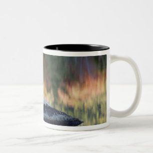 Tasse 2 Couleurs Reflet de roche et d'arbre, étang aux nénuphars, W