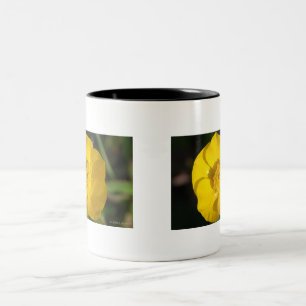 Tasse 2 Couleurs Renoncules