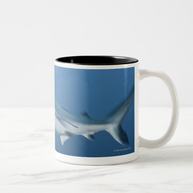 Tasse 2 Couleurs Requin gris de récif (amblyrhynchos de (Droit)