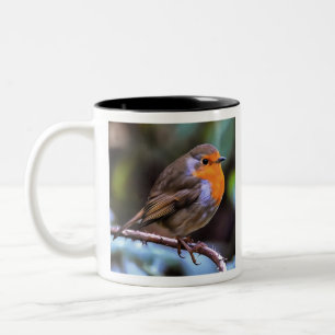 Tasse 2 Couleurs Robin De Pompage Perché Sur Une Branche D'Art De L