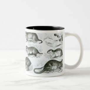 Tasse 2 Couleurs Rodentia-Rongeurs ou animaux de rongement