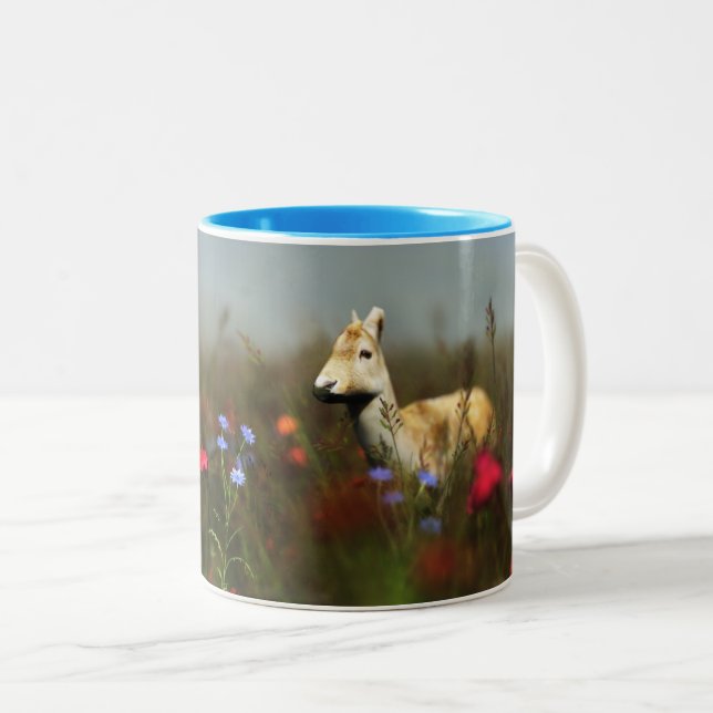 Tasse 2 Couleurs Roe dans une Musique de pré (Devant droit)