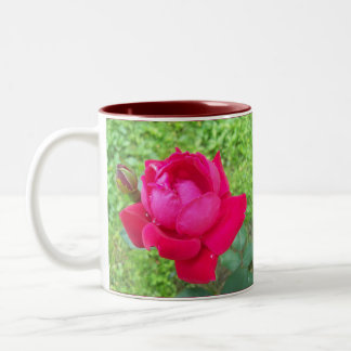 Tasse 2 Couleurs Rose dans Bloom