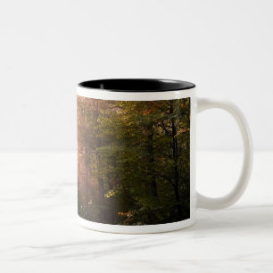 Tasse 2 Couleurs Royaume-Uni. Forêt de Dean. Rayon de soleil pénétr