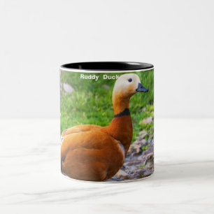 Tasse 2 Couleurs Ruddy Duck