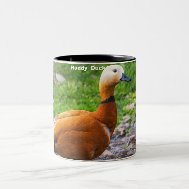 Tasse 2 Couleurs Ruddy Duck (Centre)