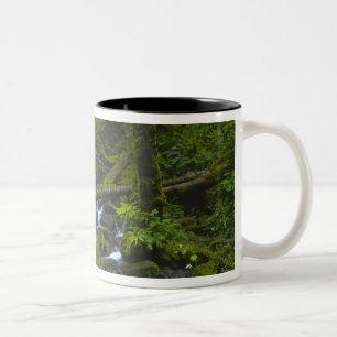 Tasse 2 Couleurs Ruisseau de la forêt pluviale tempérée du fleuve C