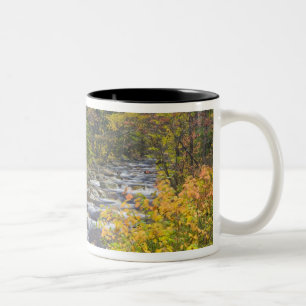 Tasse 2 Couleurs Ruisseau Rugissant en automne dans le Green 2 du V