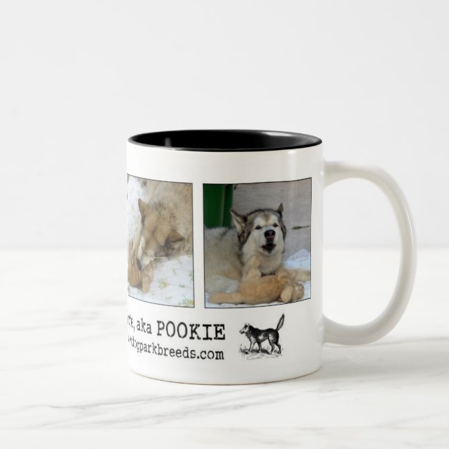 Tasse 2 Couleurs Saint Malute de Kayla (Droit)