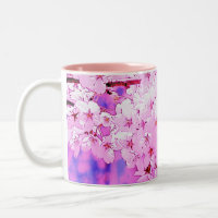 Sakura - fleurs de cerisier rêveuses