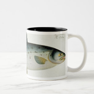 Tasse 2 Couleurs (Salmo Salar) plat saumoné XX de 'Ichthyologie,