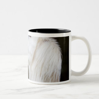 Tasse 2 Couleurs Saluki recherchant