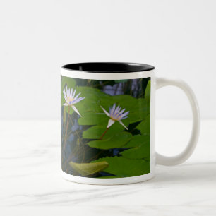 Tasse 2 Couleurs San Francisco Californie Golden Gate Park et