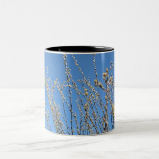 Tasse 2 Couleurs Saule de chat