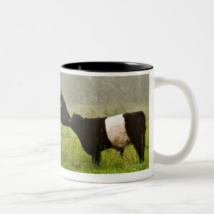 Tasse 2 Couleurs Scène brumeuse de la vache ceinturée à Galloway