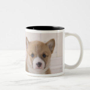 Tasse 2 Couleurs Se reposer de deux corgis de Gallois