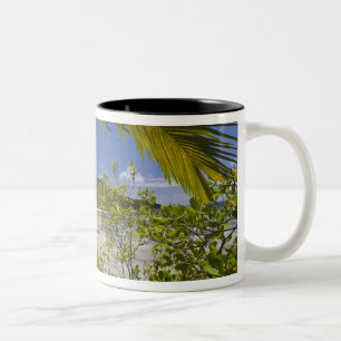 Tasse 2 Couleurs Seychelles, île Curieuse, baie Laraie
