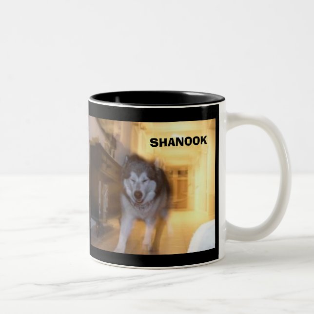 TASSE 2 COULEURS SHANOOK (Droit)