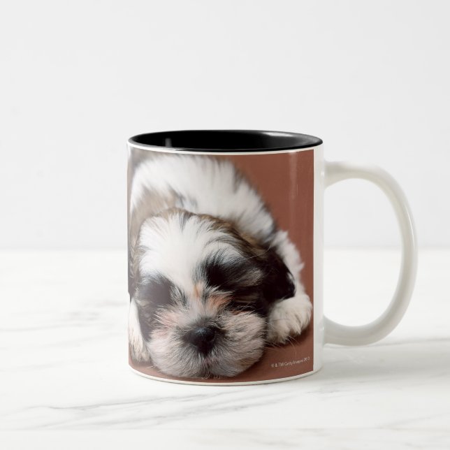 Tasse 2 Couleurs Shih Tzu (Droit)