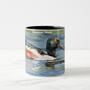 Tasse 2 Couleurs Shoveler Duck