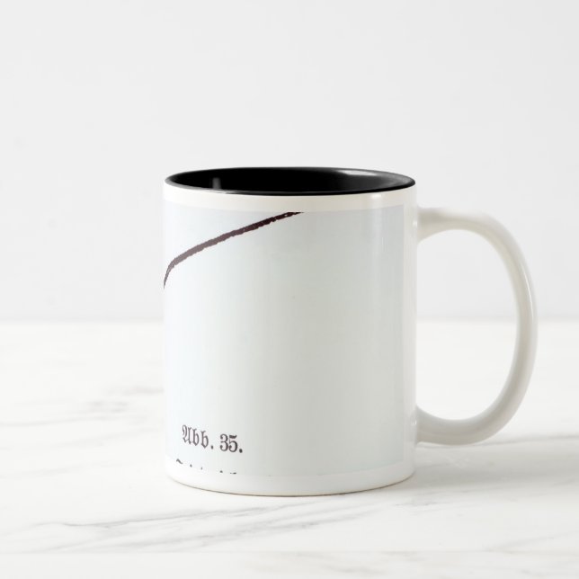 Tasse 2 Couleurs Signature de Frederick le grand (Droit)