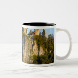 Tasse 2 Couleurs Slovénie, Bled, lac de Bled, château de Bled sur