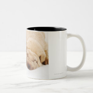 Tasse 2 Couleurs Sommeil de deux chiots de Shar Pei