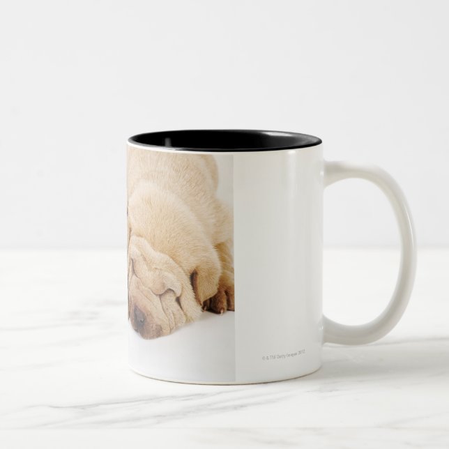 Tasse 2 Couleurs Sommeil de deux chiots de Shar Pei (Droit)