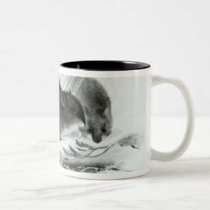 Tasse 2 Couleurs Souris, Terre de Feu, Amérique du Sud c.1832-36