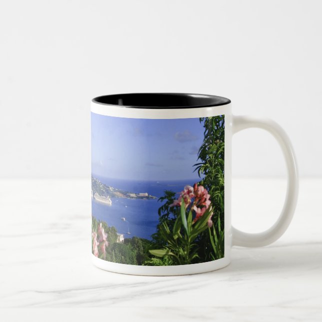 Tasse 2 Couleurs St. Thomas, îles Vierges américaines. Charlotte (Droit)