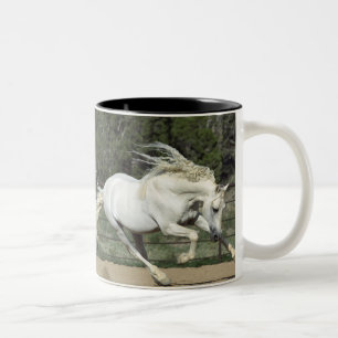 Tasse 2 Couleurs Stallion andalou courant, PR