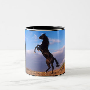 Tasse 2 Couleurs Stallion noir