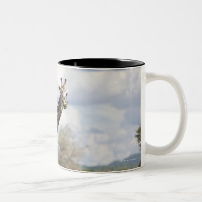 Tasse 2 Couleurs Sur le safari en Tanzanie, l'Afrique (Droit)
