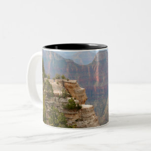 Tasse 2 Couleurs Surveillance du nord de jante de canyon grand