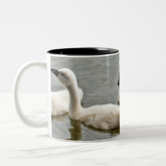 Tasse 2 Couleurs Swan