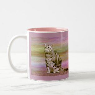 Tasse 2 Couleurs Tabby argenté