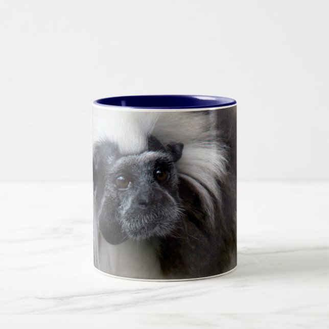 Tasse 2 Couleurs Tamarin de Coton-Dessus (Centre)