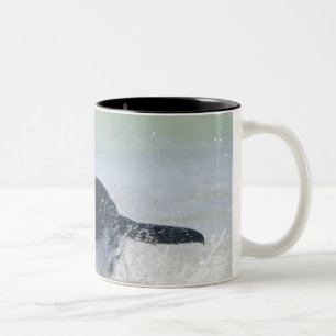 Tasse 2 Couleurs Tarifa, Cadix, Espagne