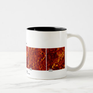 Tasse 2 Couleurs Technologie de RHK - octobre 2007 image du mois