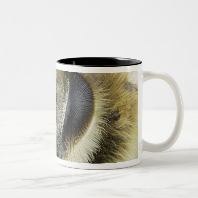 Tasse 2 Couleurs Tête d'abeille (Droit)