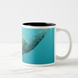 Tasse 2 Couleurs Tortue verte (Chelonia mydas agassisi), Centre