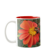 Tournesol mexicain et abeille