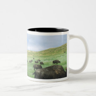 Tasse 2 Couleurs Troupeau de bisons paissant l'herbe de la prairie 