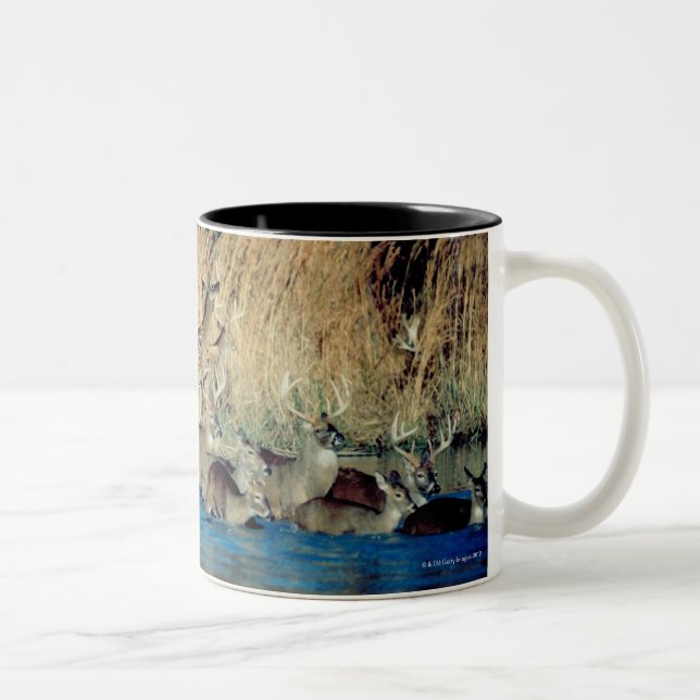 Tasse 2 Couleurs Troupeau des cerfs communs 2 (Droit)