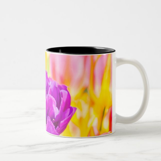 Tasse 2 Couleurs Tulipes Enchanter 15 (Droit)
