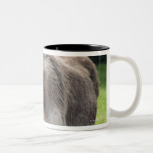 Tasse 2 Couleurs Un âne