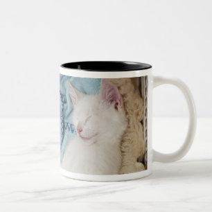 Tasse 2 Couleurs Un chat blanc dormant dans un panier de