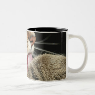 Tasse 2 Couleurs Un chat tigré léchant sa patte